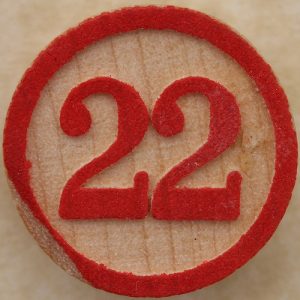 Big Brother 22